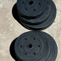 Weight Plates 100 lbs