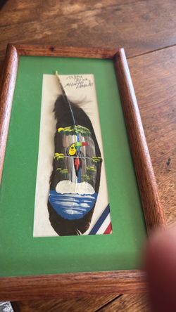 Costa Rica Hand-Painted Feather Art Framed