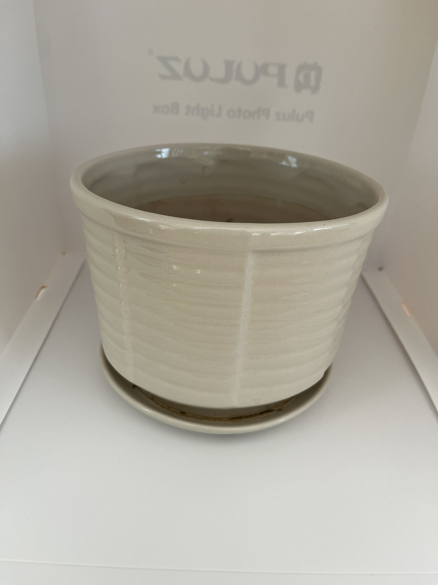 Beige Ribbed Pottery Plant