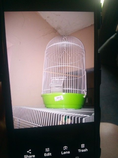 Hanging Bird Cage Only Used A Few Times