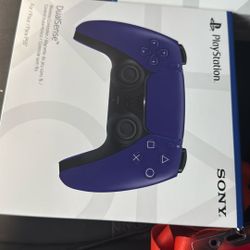Ps5 Controller 