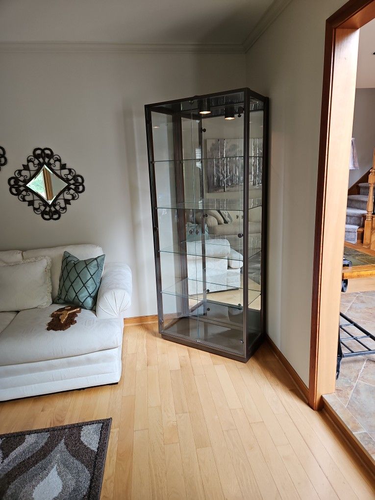 Contemporary Glass Cabinet