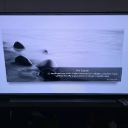 LG CX 55 Inch TV OLED
