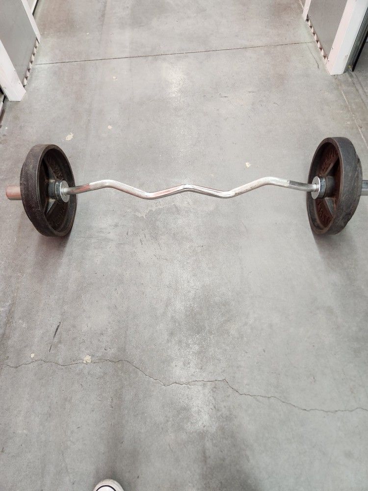 Weights and Curl Bar-85 Lbs 