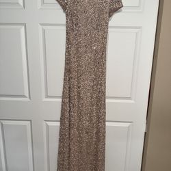Adrianna Papell Evening Gown