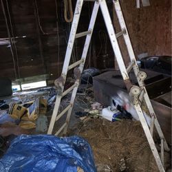 Fold Ladder 