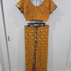 Halloween Gold Dress Sari / Saree