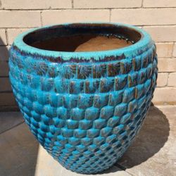 Big Ceramic Pot Tree/Plants