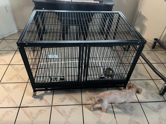 Dog Kennel