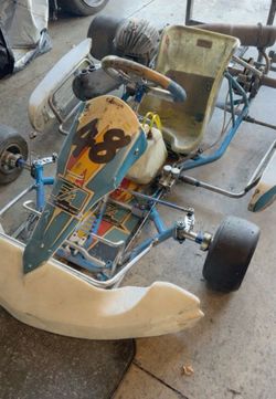 Alonzo kart 100cc go-kart