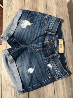 Hollister shorts