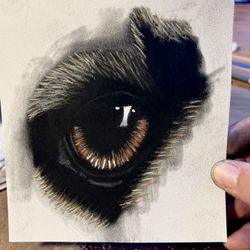 Custom Dog Eye Portrait In Pastels Selling For $15