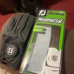 Left Hand, Leather Golf Glove New