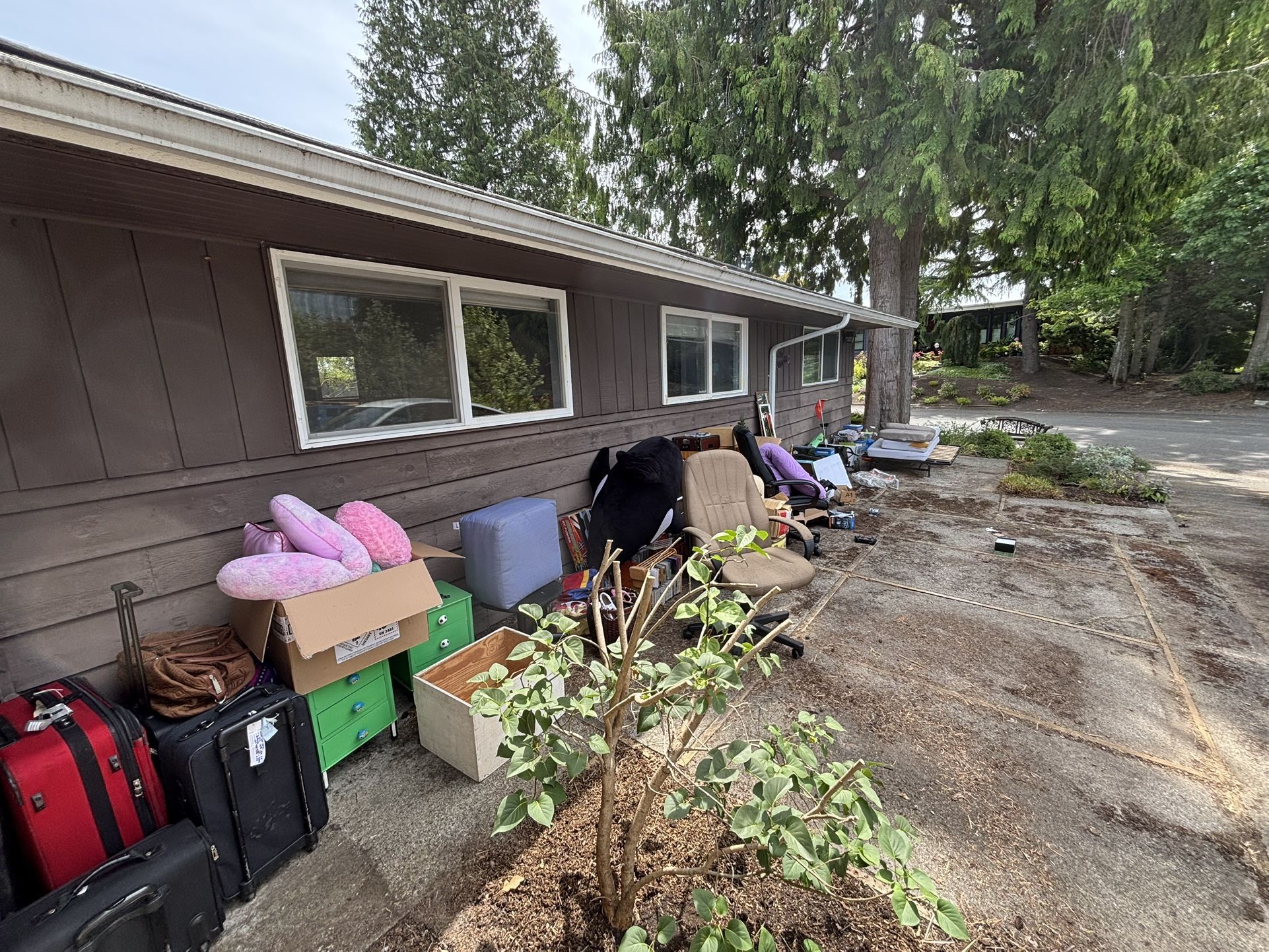 Random items, furniture, all FREE at 1836 125th AVE SE Bellevue, WA