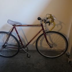 Peugeot Bike