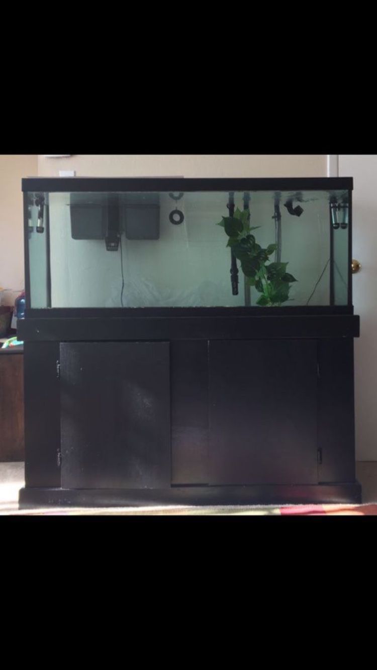 75 Gallons Fish tank