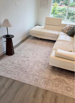 Brand new  area rug