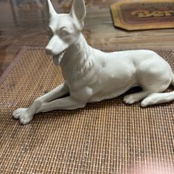 White China German Shepherd