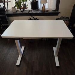 Flexispot Adjustable Standing Desk