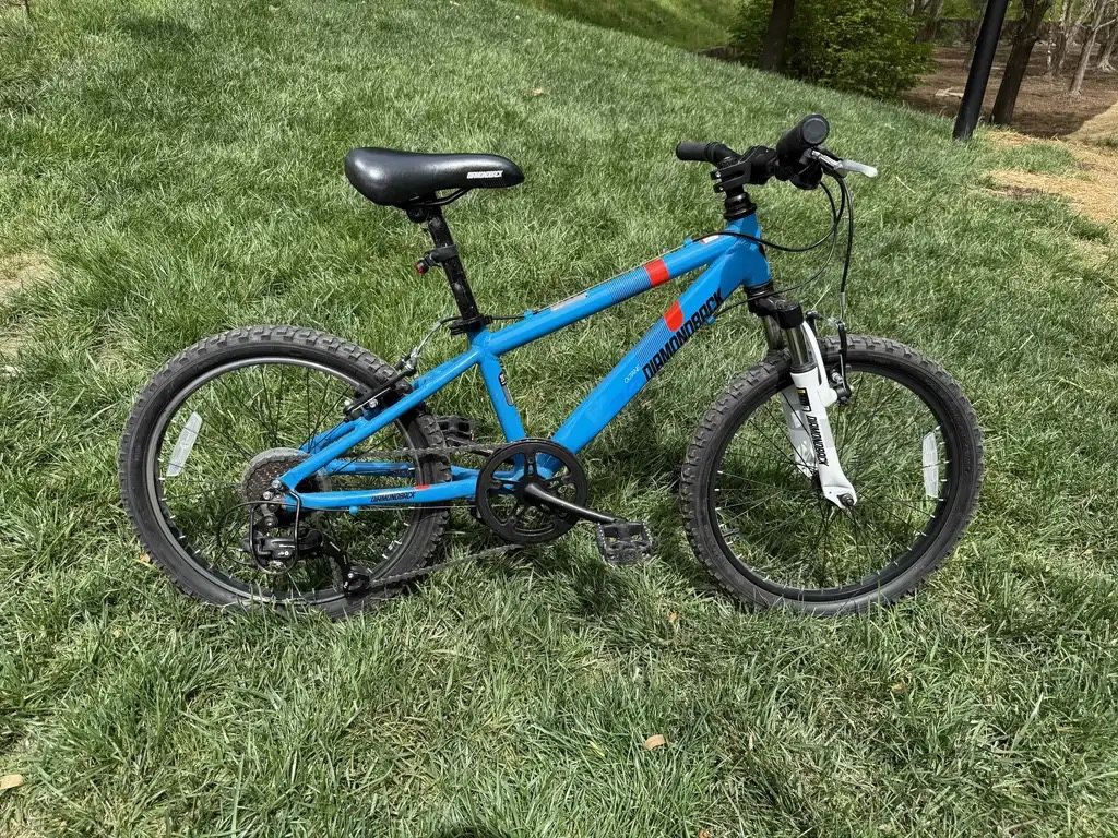 Diamond Bike 20”