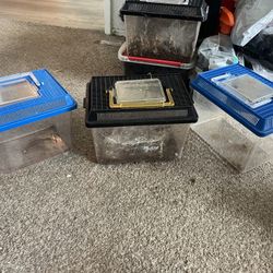 Small Enclosures For Crickets 