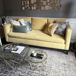 West Elm Performance Velvet Sofa And Rug
