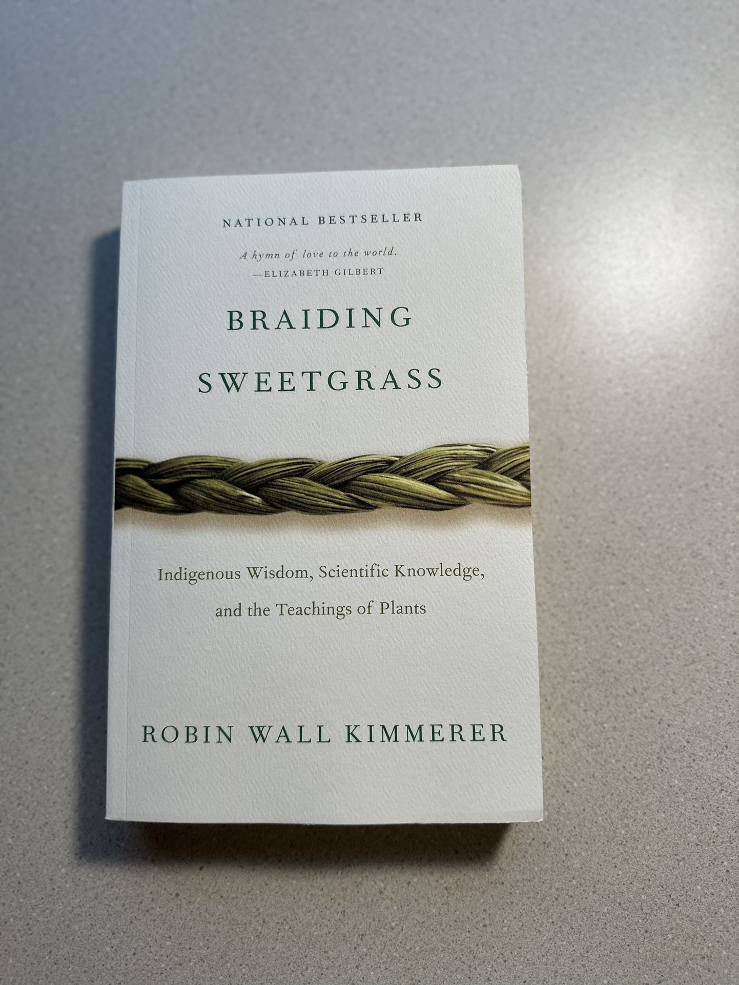 Book Braiding Sweet Grass 