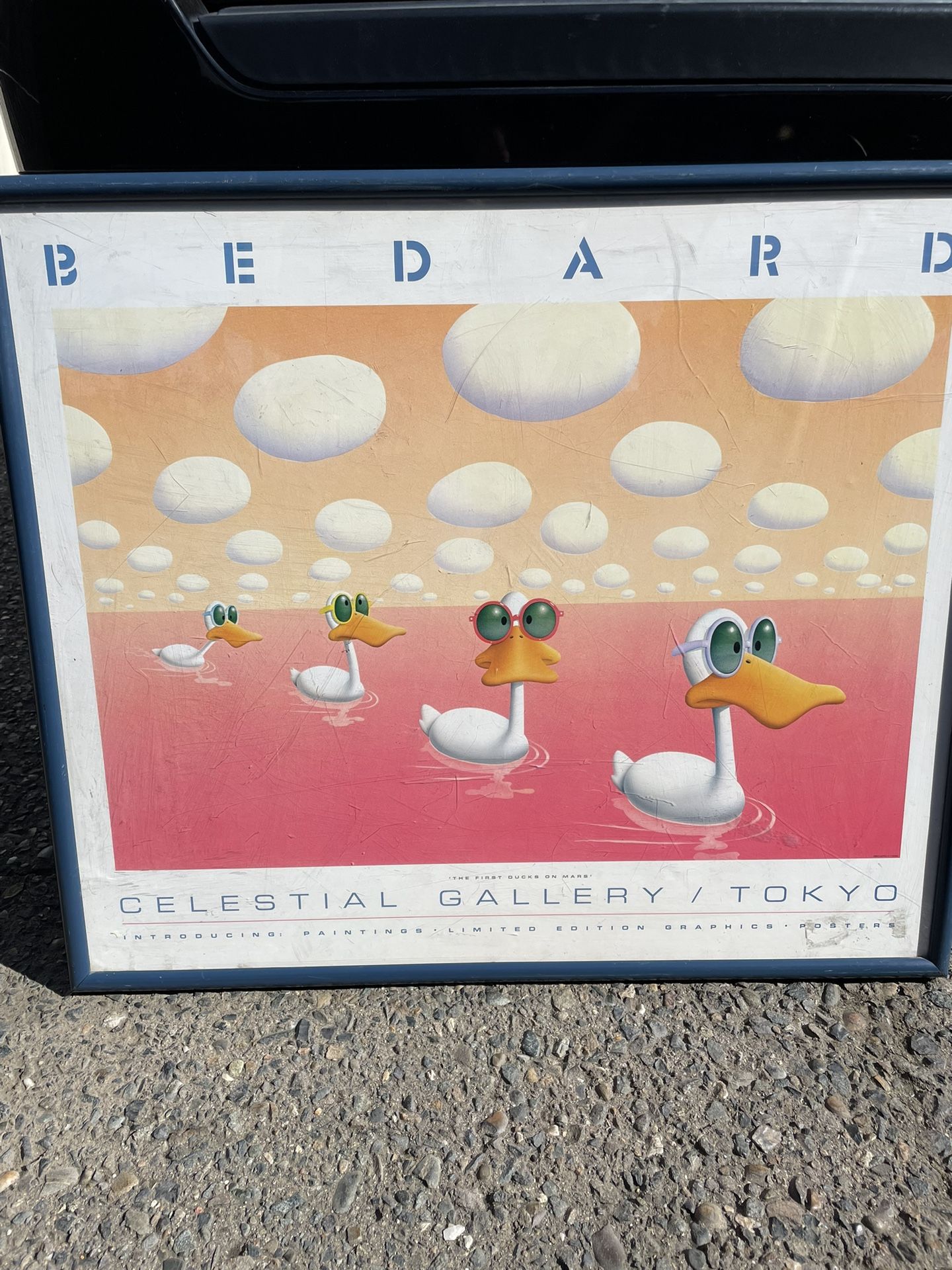 First Ducks On Mars Poster Print