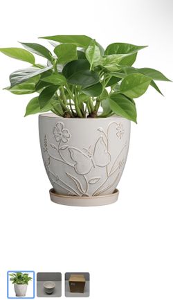 “6-Inch Ceramic Plant Pot with Drainage Hole and Saucer – Indoor/Outdoor Round Planter for Home, Garden, and Office Decor (Butterflies and Flowers Whi