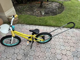 Girls GIANT Liv 16” Bike-  Info in Description