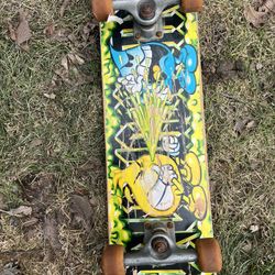 Skate Board
