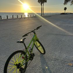 Cannondale Wheel Size 24