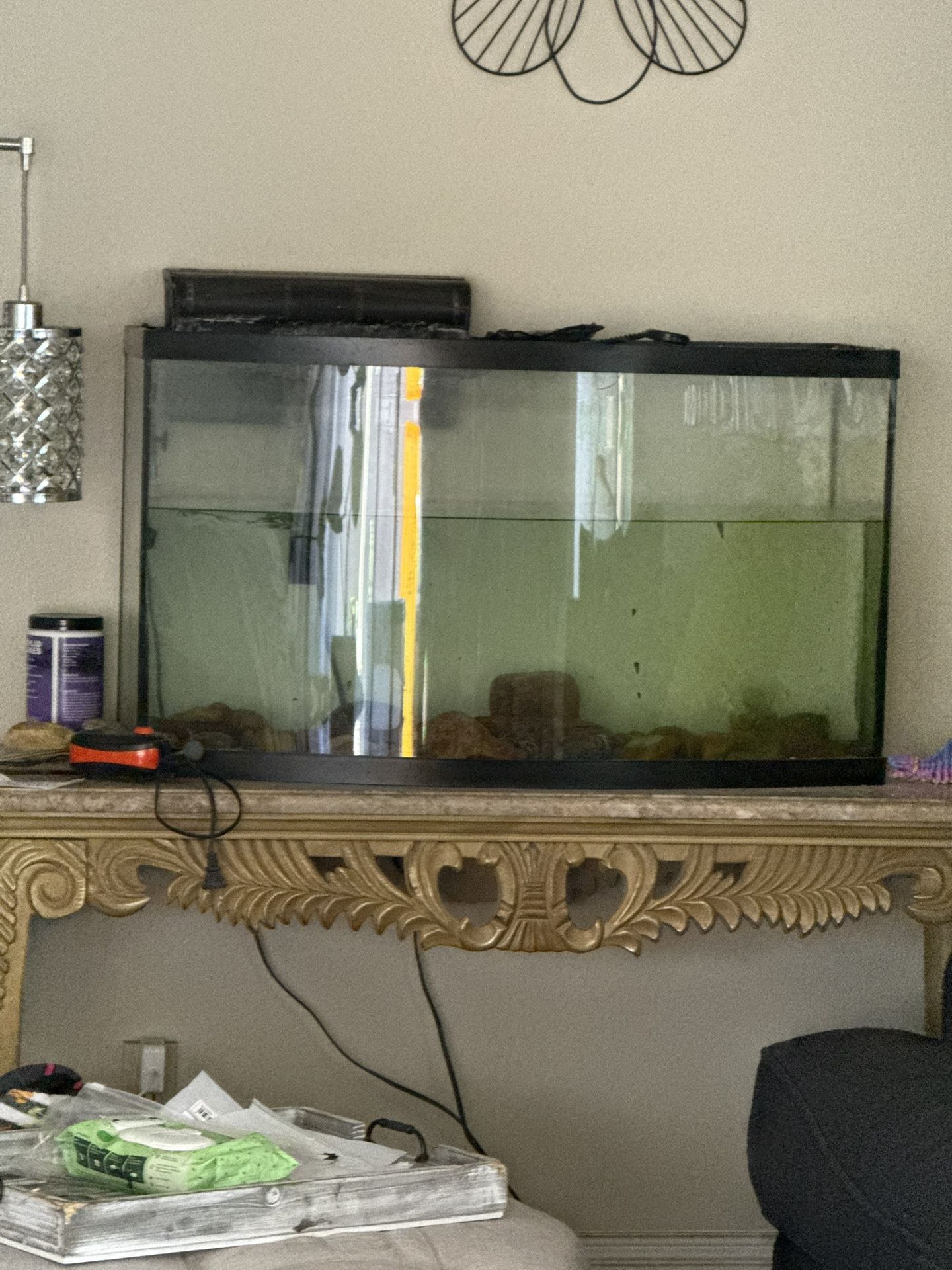 Fish Tanks… Make An Offer