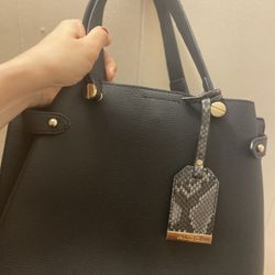 Black Aldo Handbag