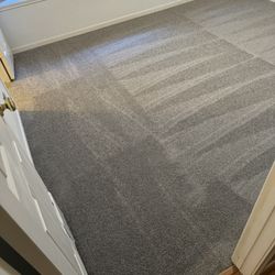 Brand New Carpet For Sale 