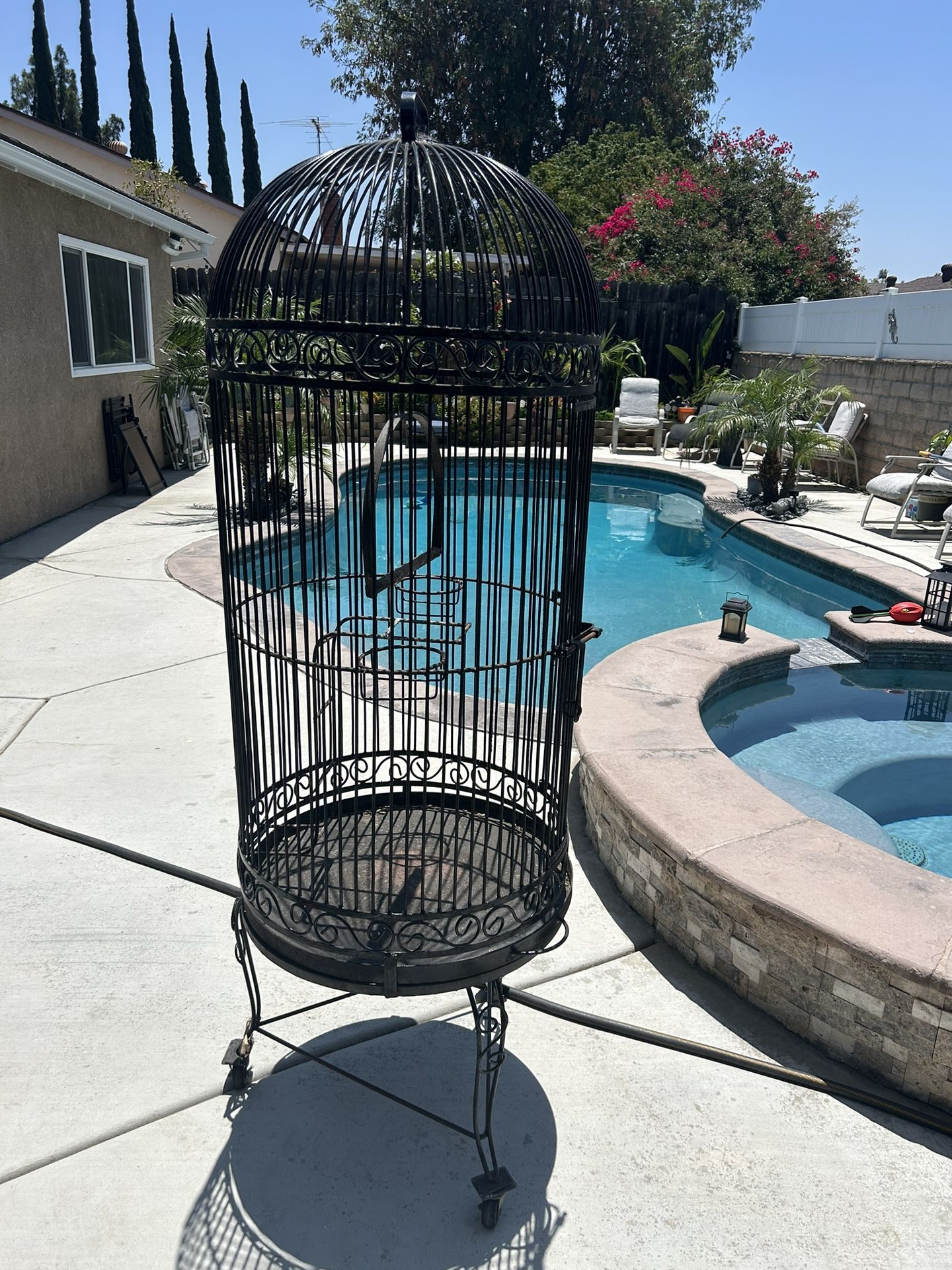Bird Cage