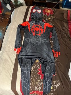 Spider Man Costumes  For Men- Women’s And Children