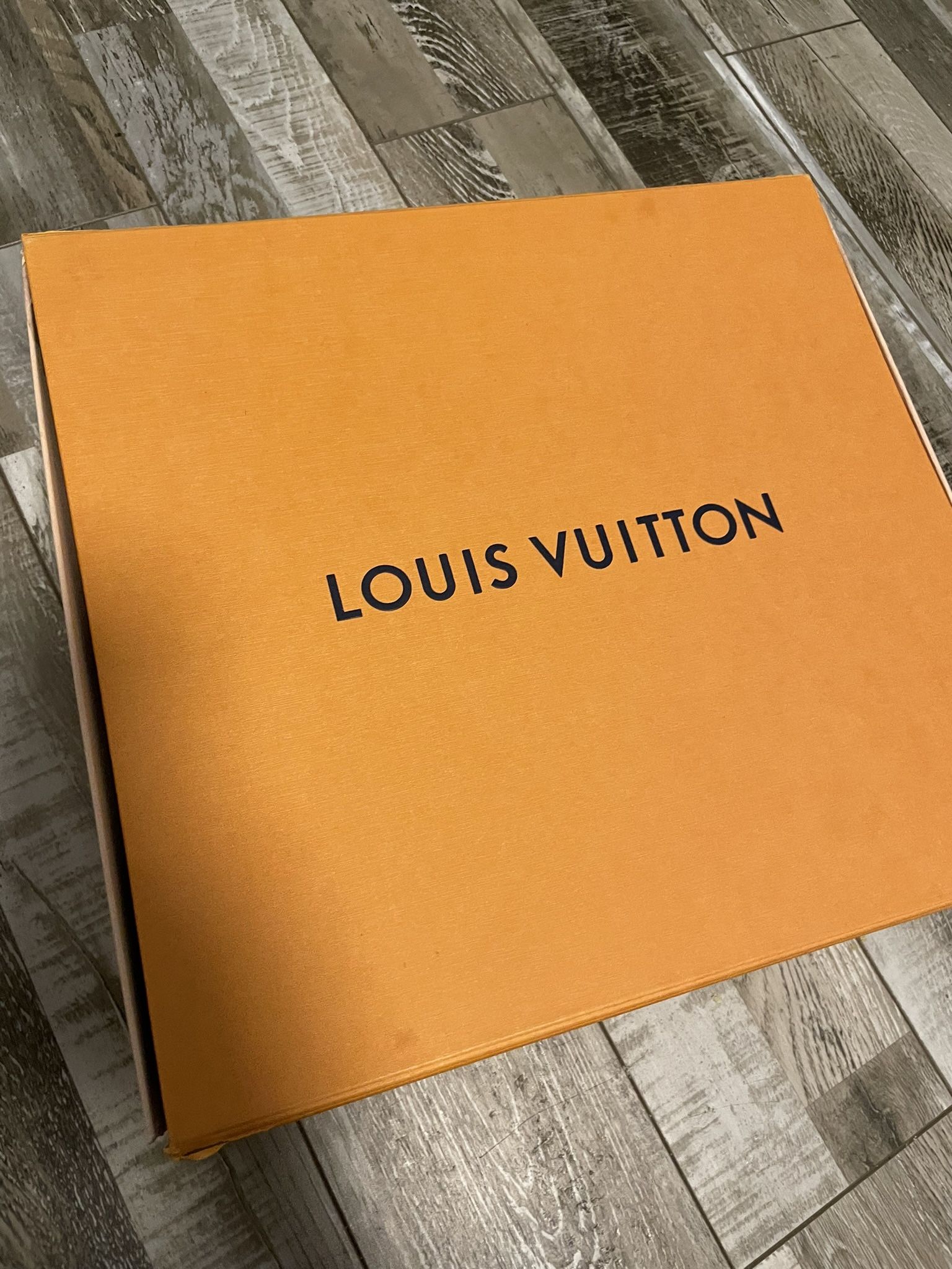 Louis Vuitton Bag