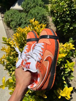 Dunk lobsters