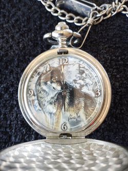 Al agnew pocket watch online