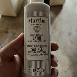 Martha Stewart Crafts Family Friendly Satin Acrylic Craft Paint