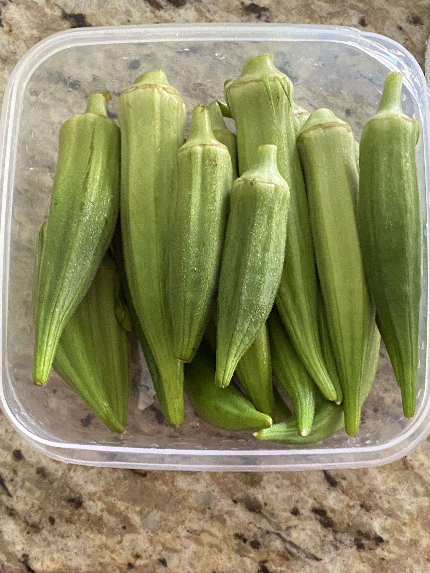 Organic Okra Seeds