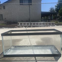 20 Gallon Long Fish Tank 