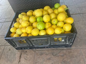 Organic lemons