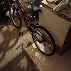 Full Extension Mountain Bike 50.00