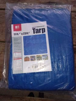 Tarp