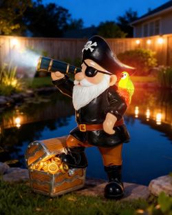 Solar Pirate Gnome