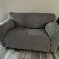 Tan Love Seat (Cleaned, W/cover)