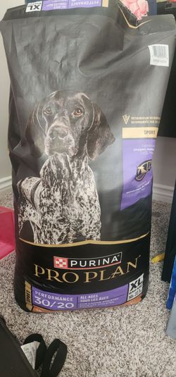 New puppy/dog starter kit