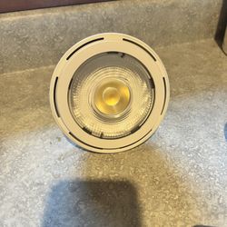 Sylvania LED Light Bulbs 